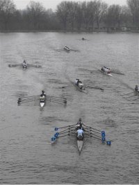 Roeien op de Amstel